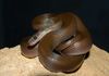 Brown House Snake - Photo (c) Vlada Trailin, some rights reserved (CC BY-NC), uploaded by Vlada Trailin