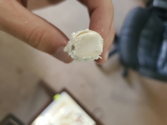 Saproamanita thiersii