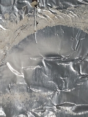 Saproamanita thiersii