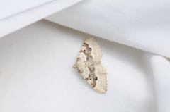 Xanthorhoe montanata