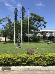 Sus scrofa moupinensis