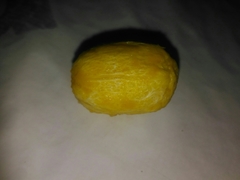 Spondias