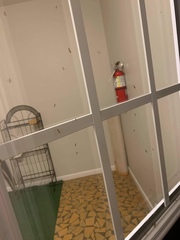 Solenopsis carolinensis