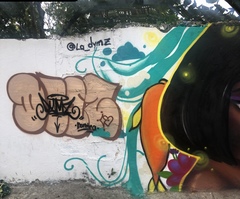 Caiman crocodilus fuscus