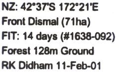 Pseudoexeirarthra colorata