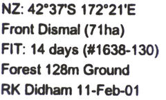 Pseudoexeirarthra colorata