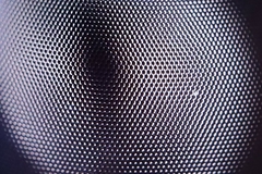 Tetracanthagyna plagiata