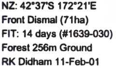 Pseudoexeirarthra colorata