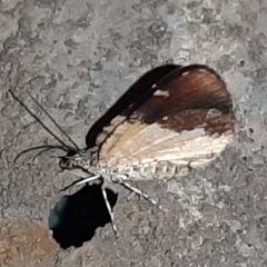 Heterusia