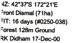 Pseudoexeirarthra colorata