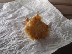 Bresadolia craterella