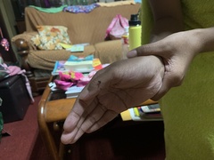 Cithaeron praedonius