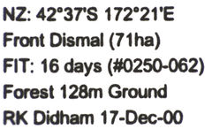 Pseudoexeirarthra colorata