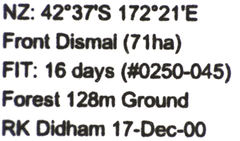 Pseudoexeirarthra colorata