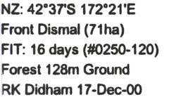 Pseudoexeirarthra colorata