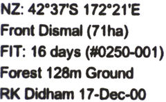 Pseudoexeirarthra colorata