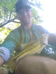 Micropterus henshalli