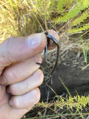 Leptotyphlops sylvicolus