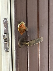Argynnis paphia
