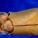 Guinean Thumbstall Squid - Photo (c) Richard E. Young, some rights reserved (CC BY-NC)