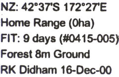 Pseudoexeirarthra colorata