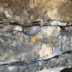 Leproplaca cirrochroa