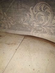 Lycodon anamallensis