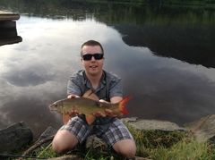 Moxostoma macrolepidotum