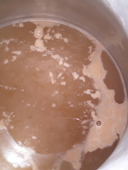 Saccharomyces cerevisiae