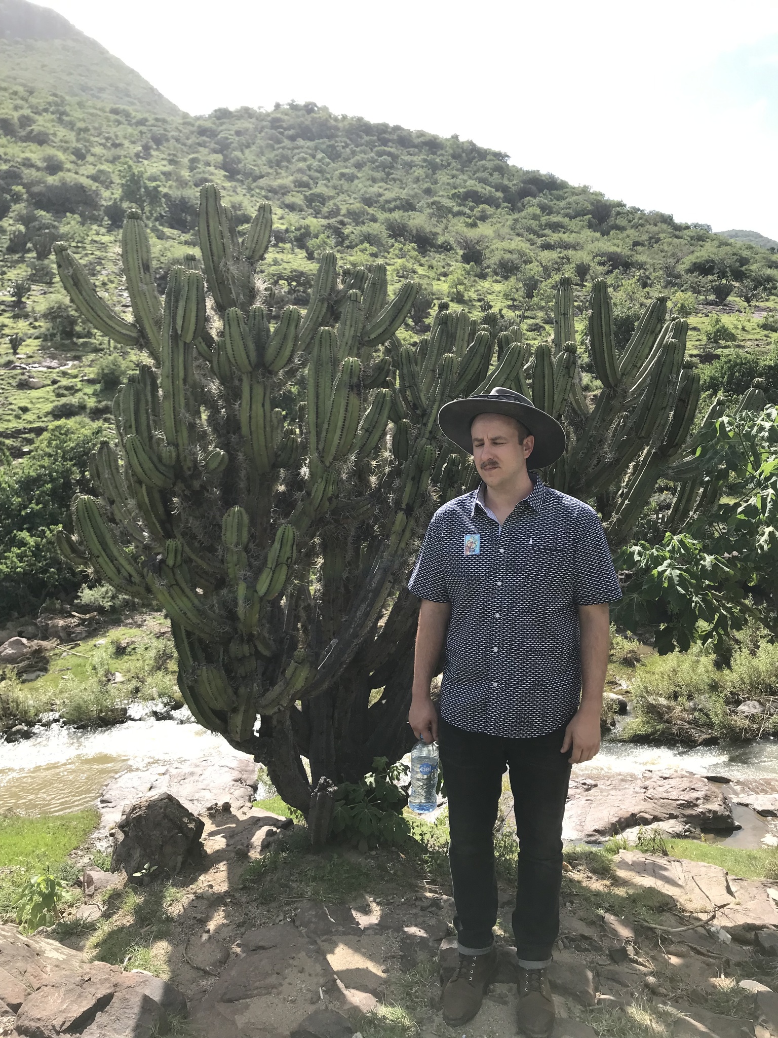 Myrtillocactus schenckii | Botanico Hub