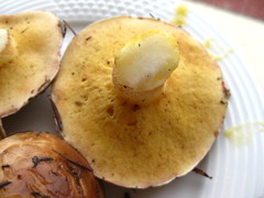 Suillus bellinii