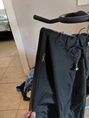 Centruroides guanensis