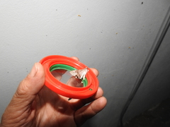 Melipotis acontioides