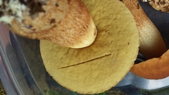 Hemileccinum rubropunctum