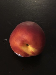 Prunus persica nucipersica