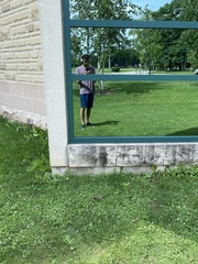 Zonotrichia albicollis