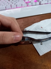 Geophis brachycephalus