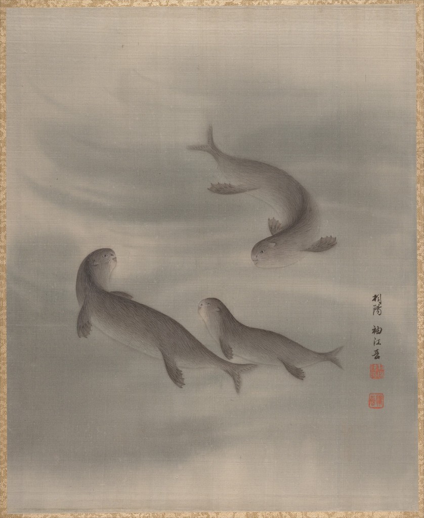 Japanese Otter