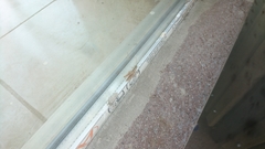 Heteracris pterosticha