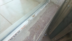 Heteracris pterosticha