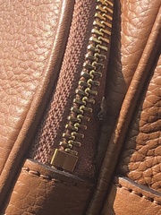 Diptera
