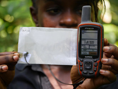 Micromacromia camerunica