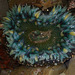 photo of Sunburst Anemone (Anthopleura sola)