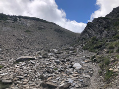 Epilobium nankotaizanense