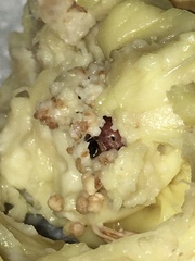 Mudaria luteileprosa