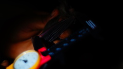 Macrotus waterhousii