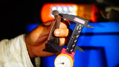 Macrotus waterhousii