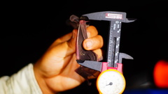 Macrotus waterhousii