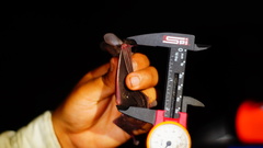 Macrotus waterhousii