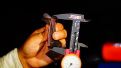 Macrotus waterhousii